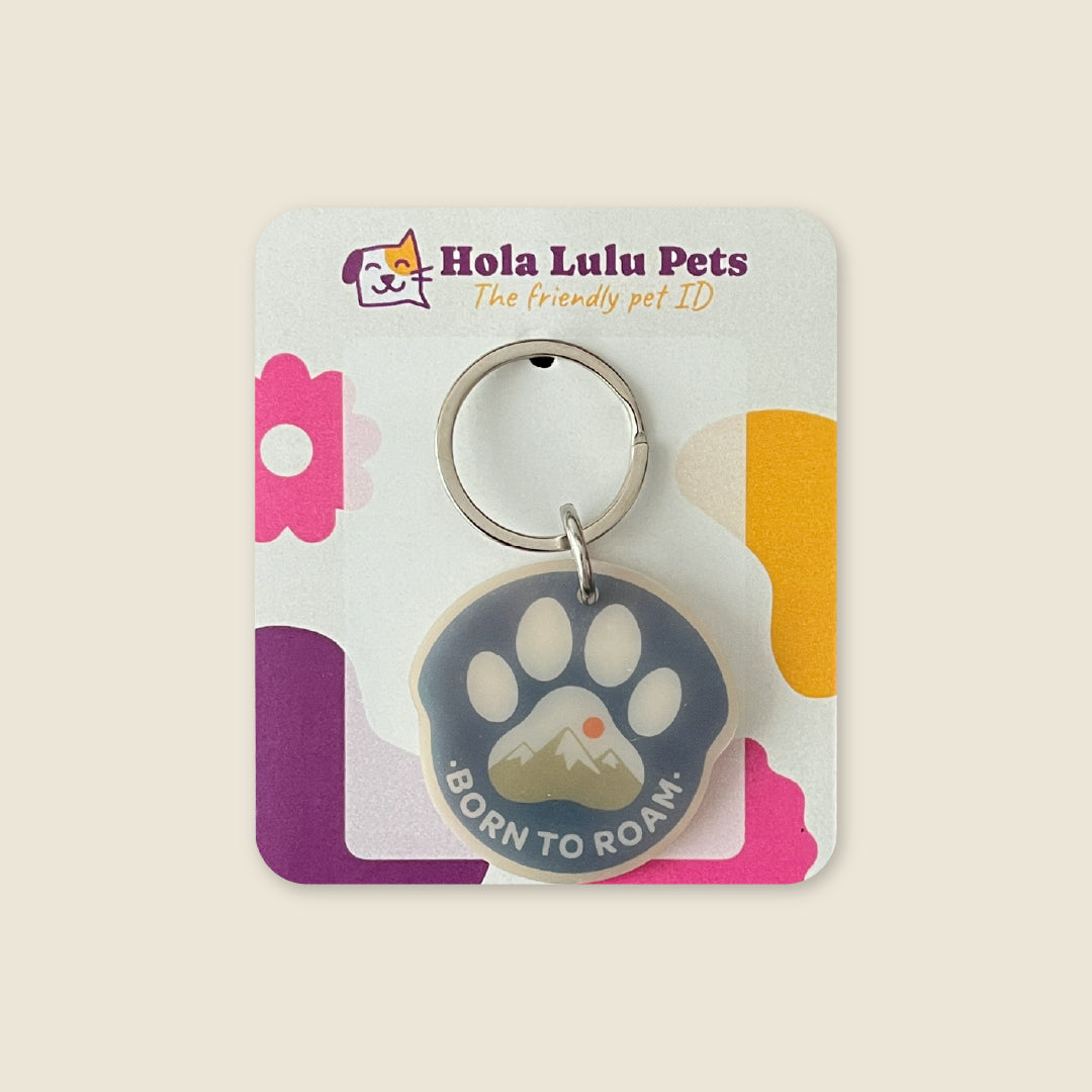 "Born To Roam" blue paw print adventure illustration on a durable QR code dog tag by Hola Lulu Pets.