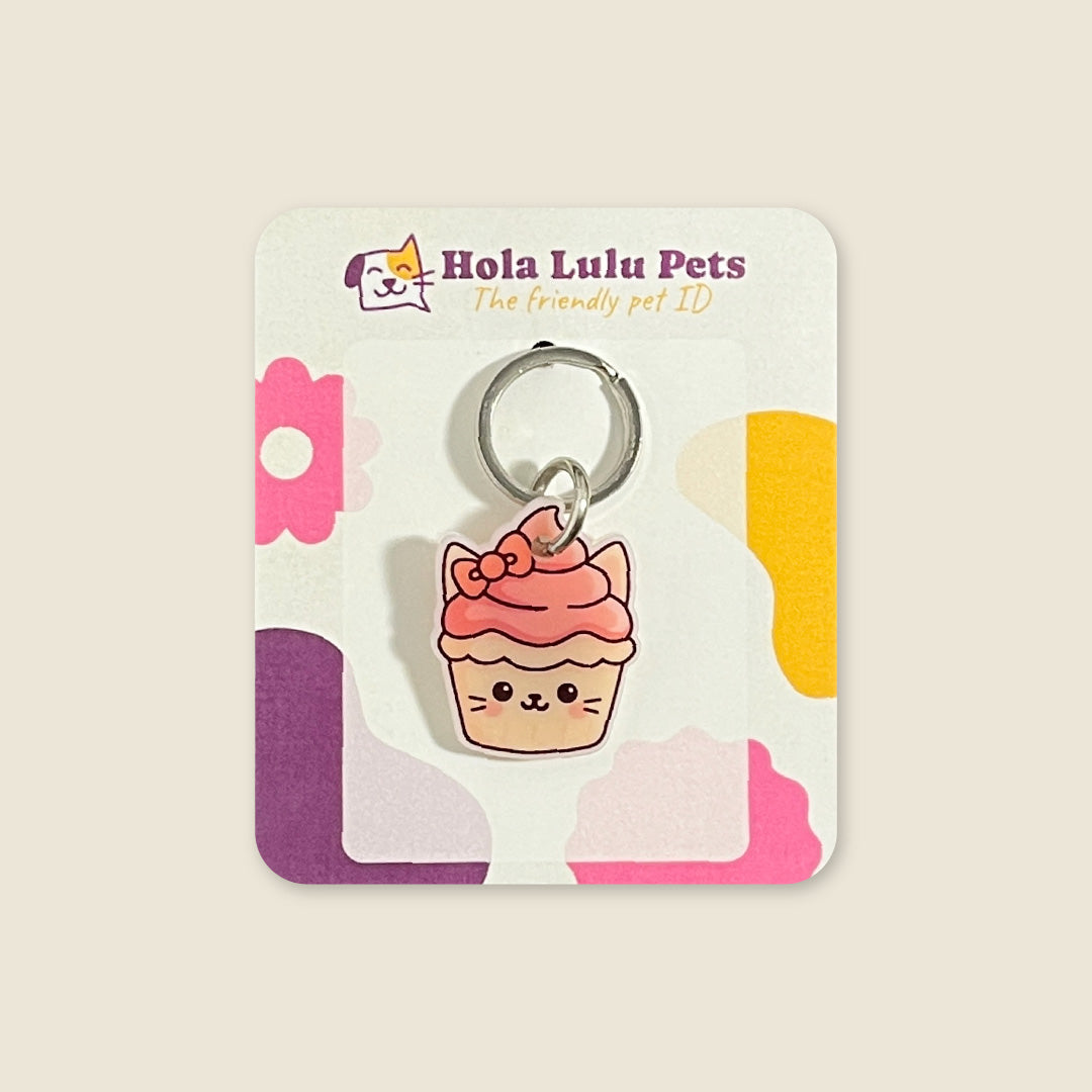 The Sweet Treat | Cat Edition